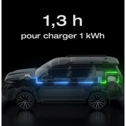 ECOFLOW Chargeur Alternateur 800 W