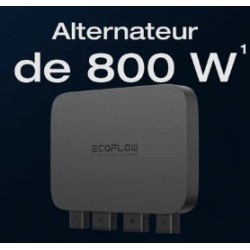 ECOFLOW Chargeur Alternateur 800 W