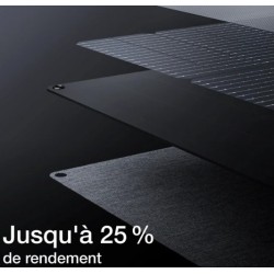 Panneau solaire 400 W portable ECOFLOW