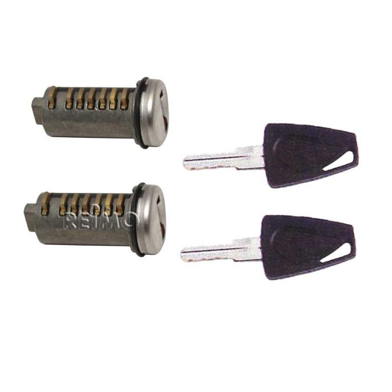 2 cylindres enfichables avec 2 clés pour systèmes Zadi et STS