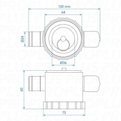 Bonde syphon D.39mm - REICH