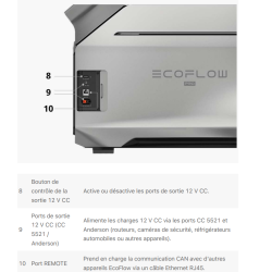 ECOFLOW DELTA Pro 3